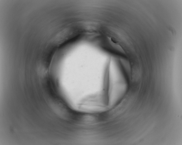 X0000113630176200910162023