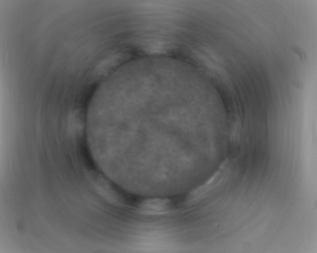 X0000113630179200910162023