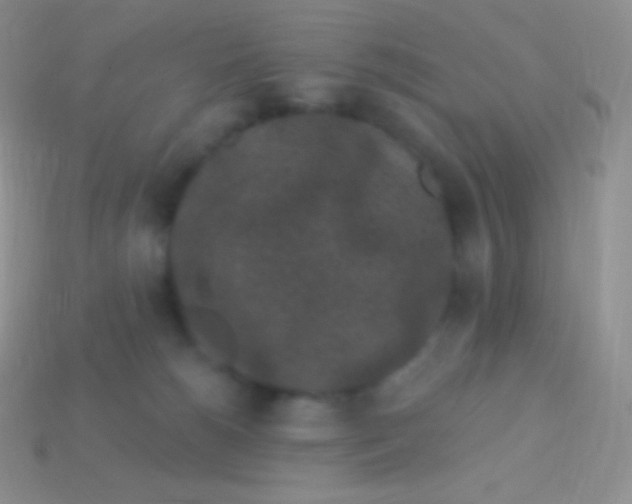 X0000113630180200910162023