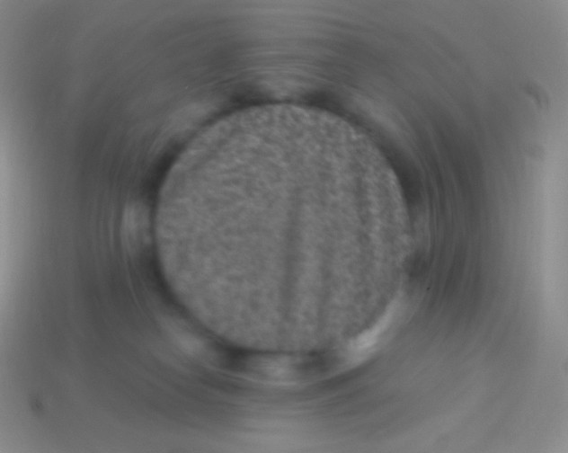 X0000113630182200910162023