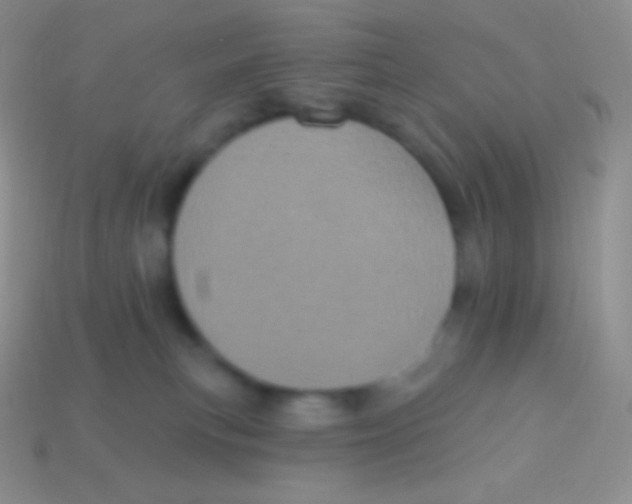 X0000113630183200910162023