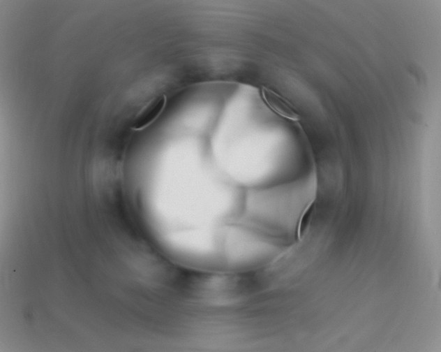 X0000113630184200910162023