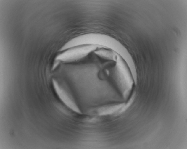 X0000113630186200910162023