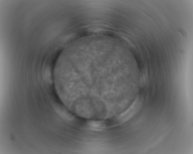 X0000113630187200910162023