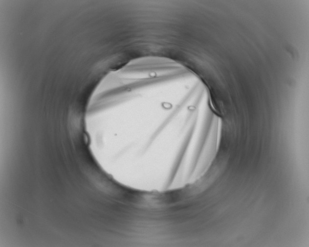 X0000113630188200910162023