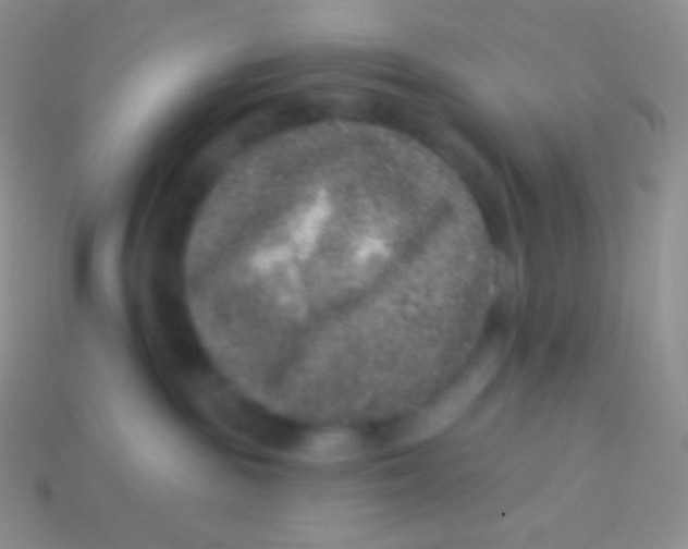 X0000113630189200910162023