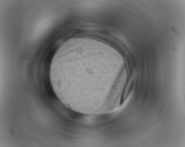 X0000113630190200910162023