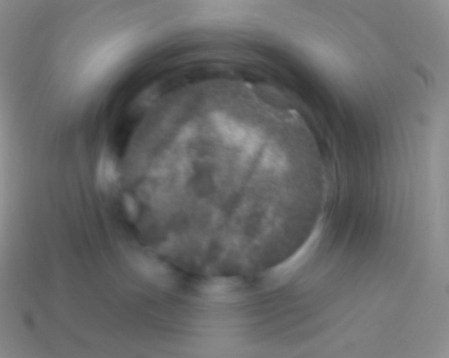 X0000113630191200910162023