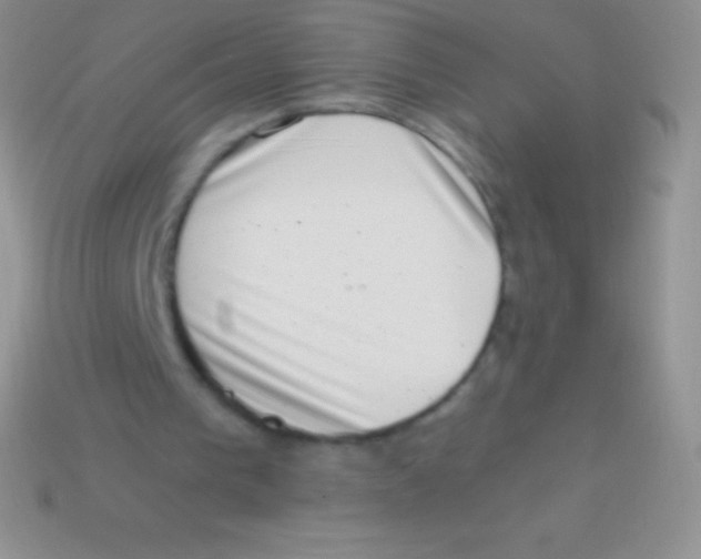 X0000113630193200910162023