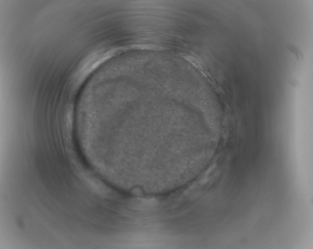 X0000113630194200910162023