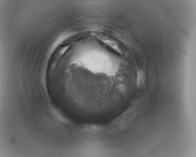 X0000113630195200910162023