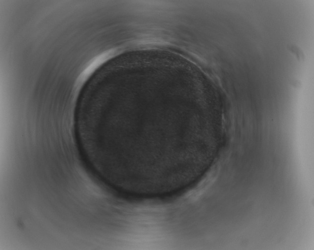 X0000113630196200910162023