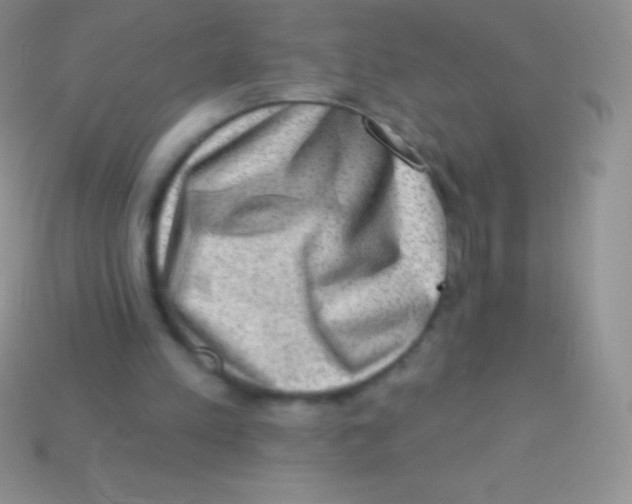 X0000113630197200910162023