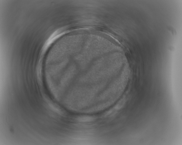 X0000113630198200910162023