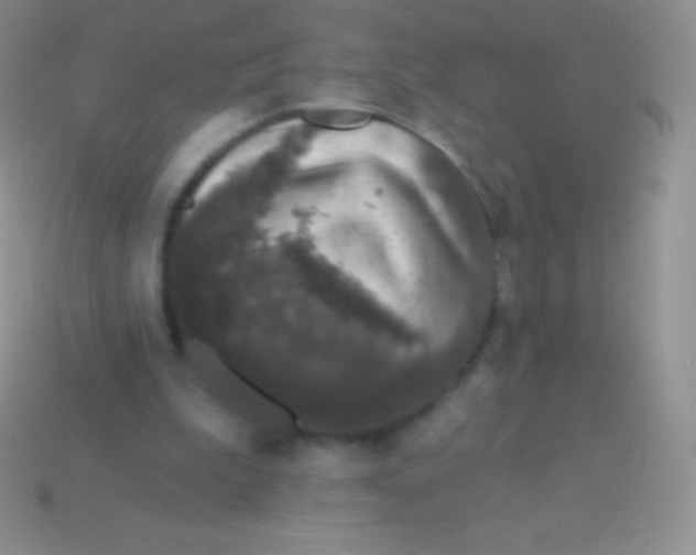 X0000113630199200910162023