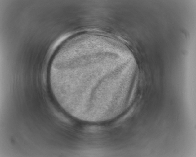 X0000113630200200910162023