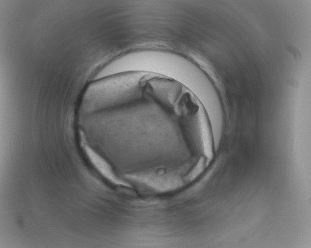 X0000113630201200910162023