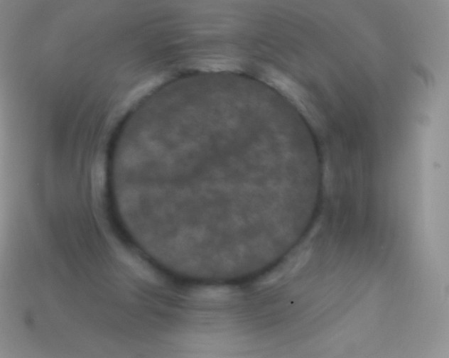 X0000113630202200910162023