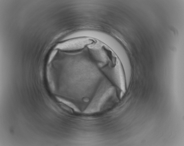 X0000113630203200910162023