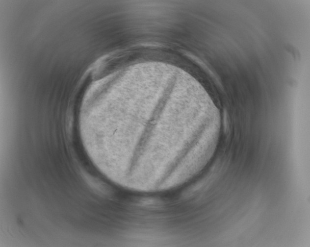 X0000113630204200910162023