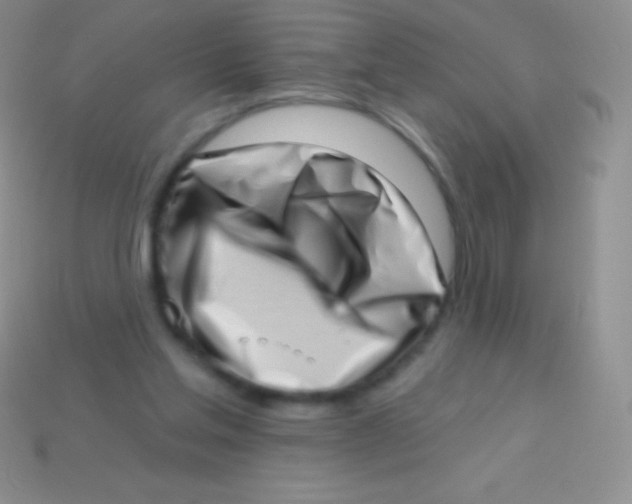 X0000113630205200910162023