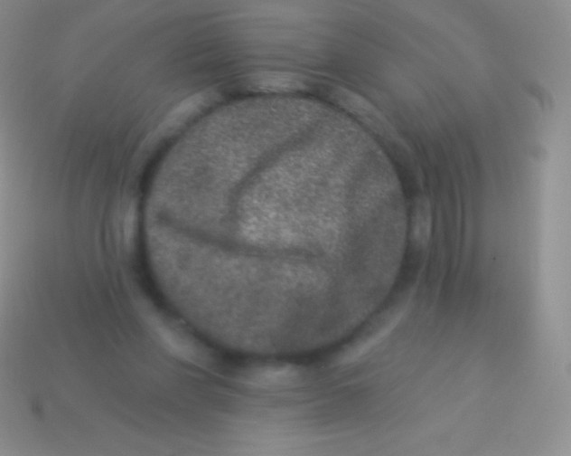 X0000113630206200910162023