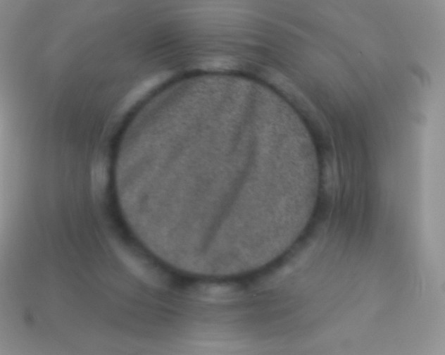 X0000113630208200910162023