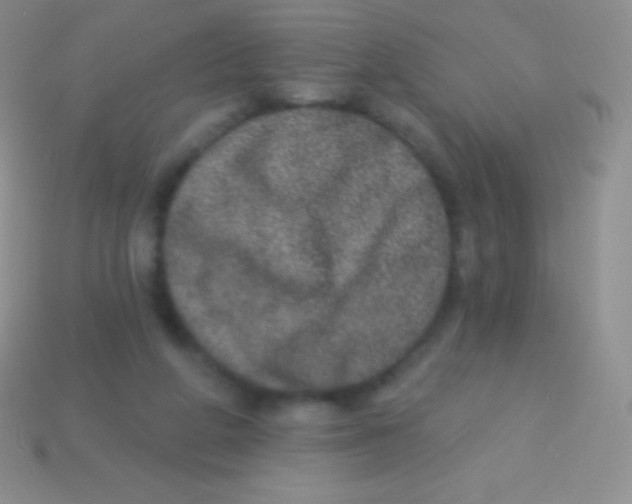 X0000113630210200910162023