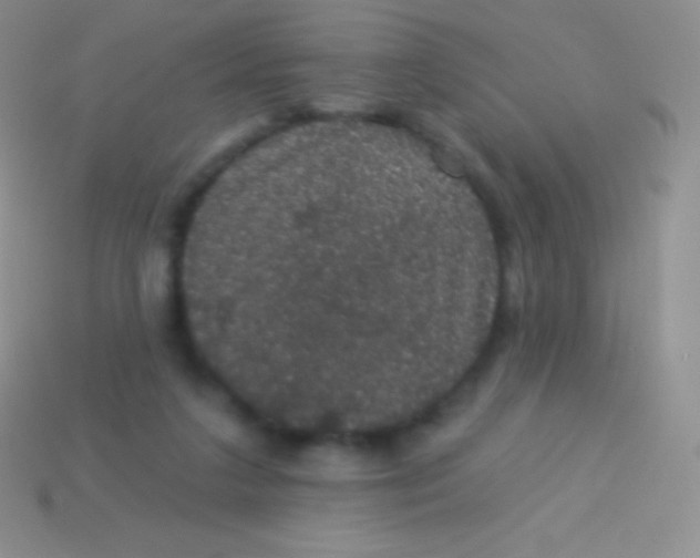 X0000113630211200910162023