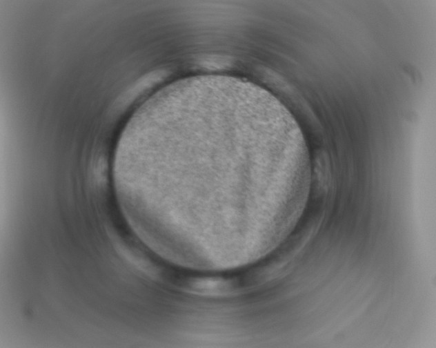 X0000113630212200910162023