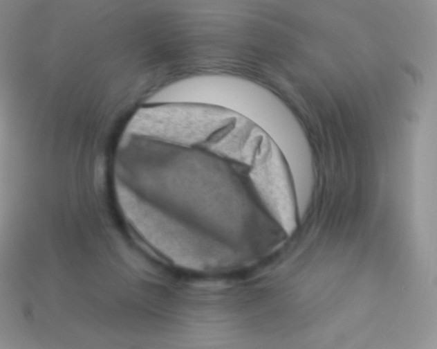 X0000113630213200910162023