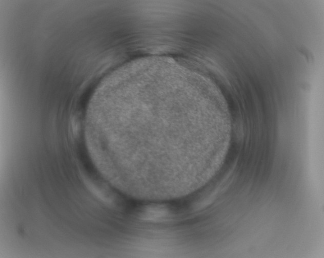 X0000113630214200910162023