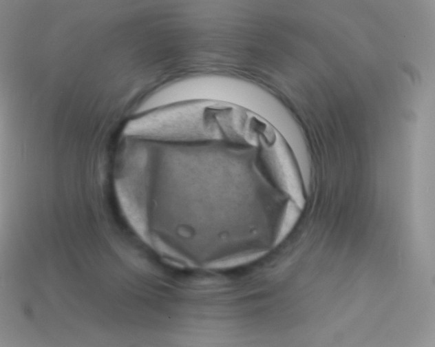 X0000113630215200910162023