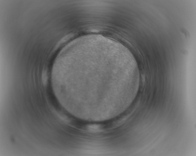 X0000113630216200910162023