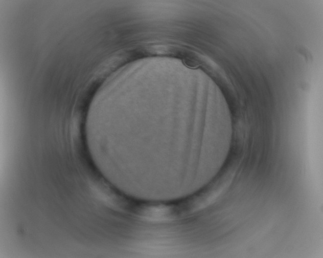 X0000113630217200910162023