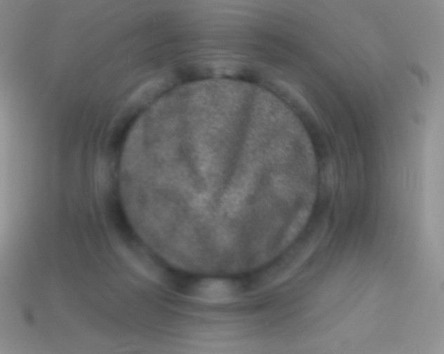 X0000113630218200910162023