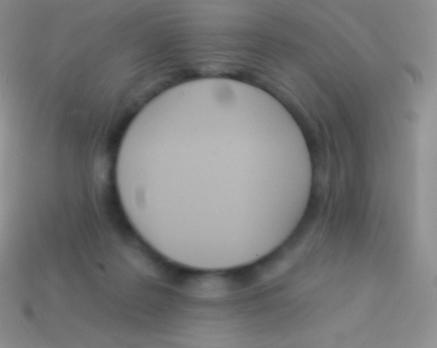 X0000113630219200910162022