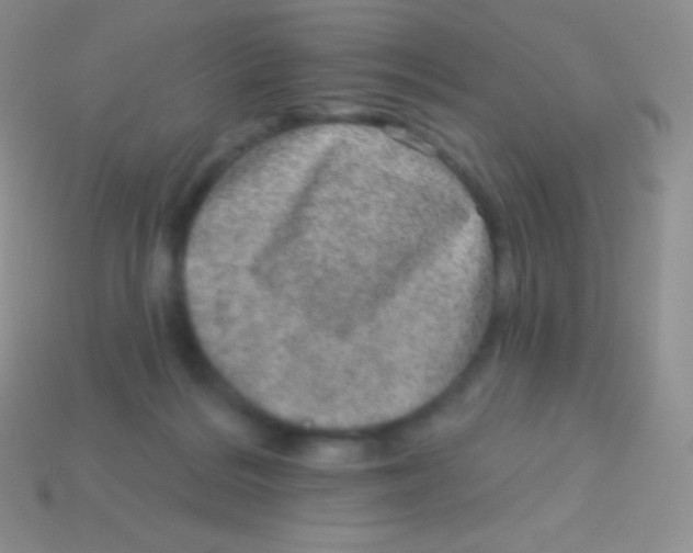 X0000113630220200910162022