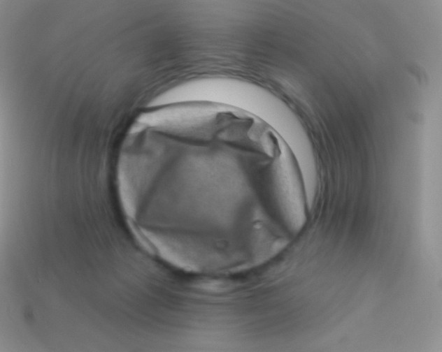 X0000113630221200910162022