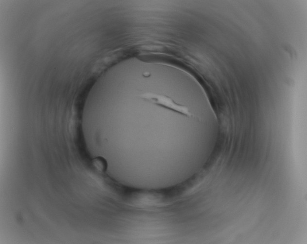 X0000113630223200910162022