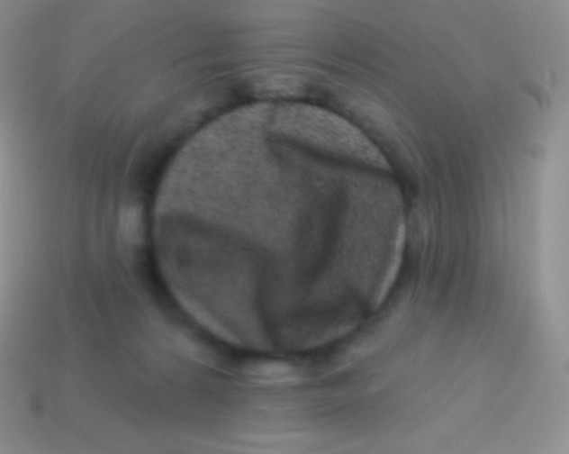 X0000113630224200910162022