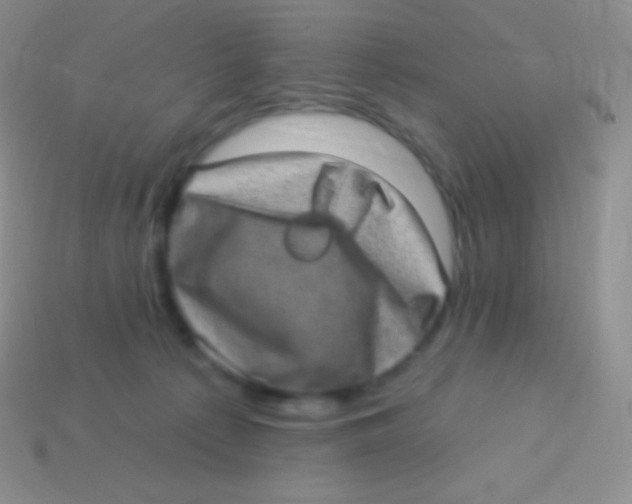 X0000113630225200910162022