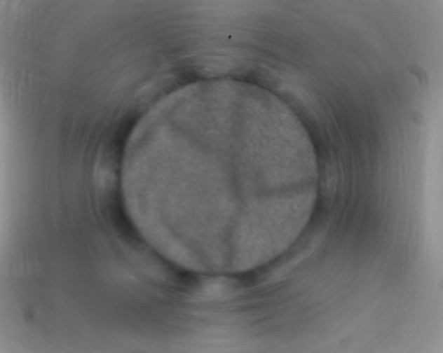 X0000113630226200910162022