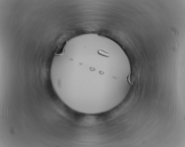 X0000113630227200910162022