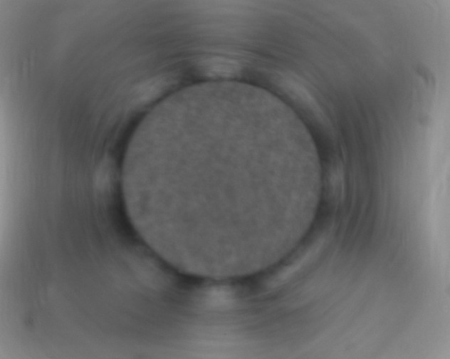 X0000113630228200910162022