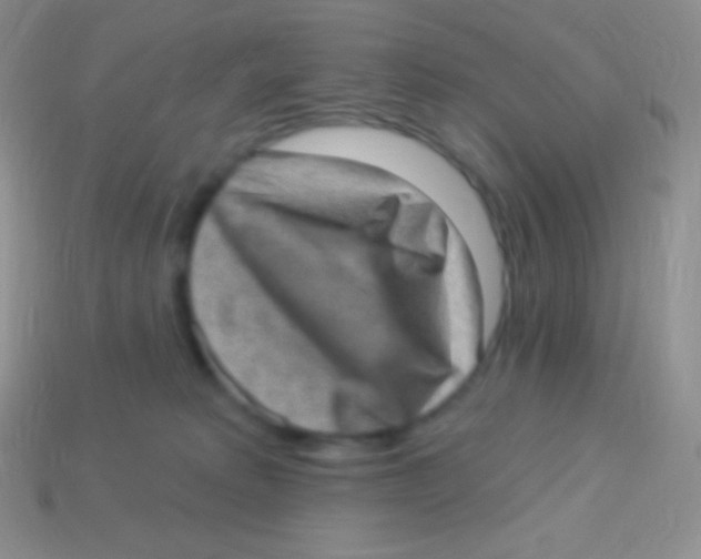 X0000113630229200910162022