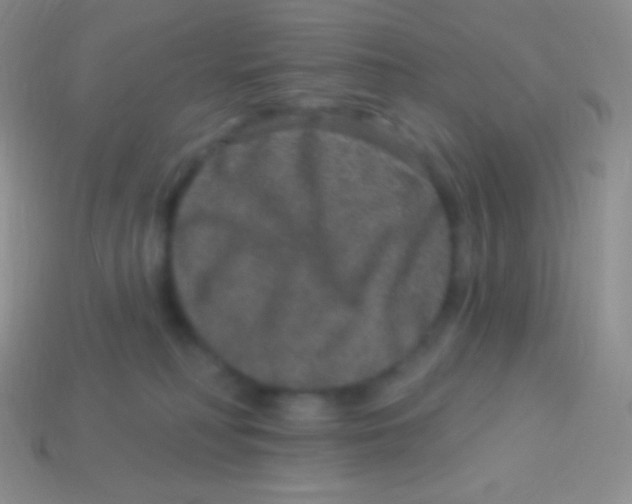 X0000113630230200910162022