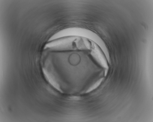 X0000113630233200910162022