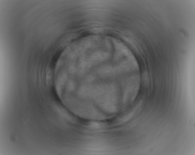 X0000113630234200910162022