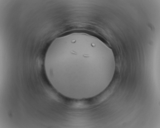 X0000113630235200910162022